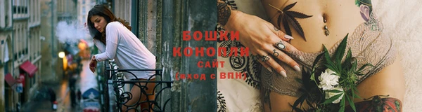 дживик Каменногорск