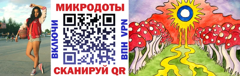 Псилоцибиновые грибы Psilocybe  Купить закладки  Котово 